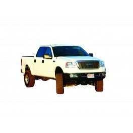 ../271-thickbox_default/coil-over-leveling-kit-ford-f150-2wd.jpg